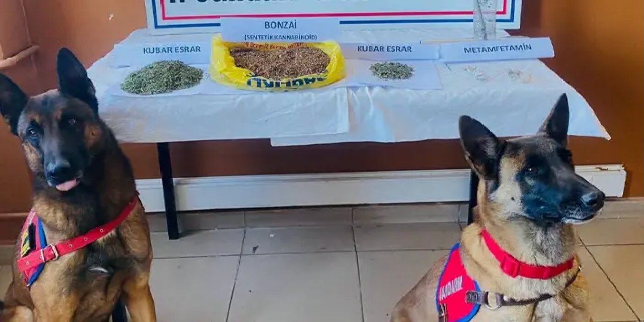 Trabzon'da narkotik timlerinden operasyon! 1 şüpheli gözaltında