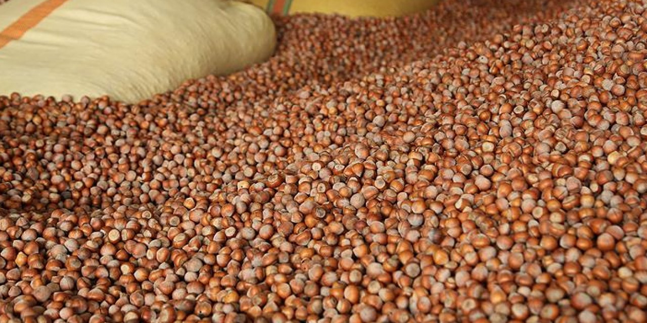 Doğu Karadeniz'den dev fındık ihracatı! 2023 yılı rakamları açıklandı