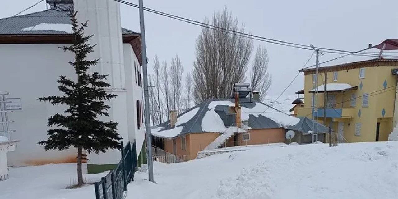 207 seçmen bulunuyor! Köy nüfusu 3 kişi