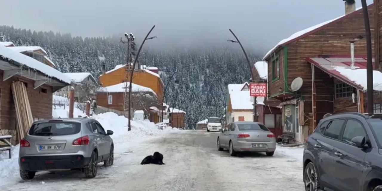 Giresun'daki yaylaların popülerliği sosyal medya ile artıyor
