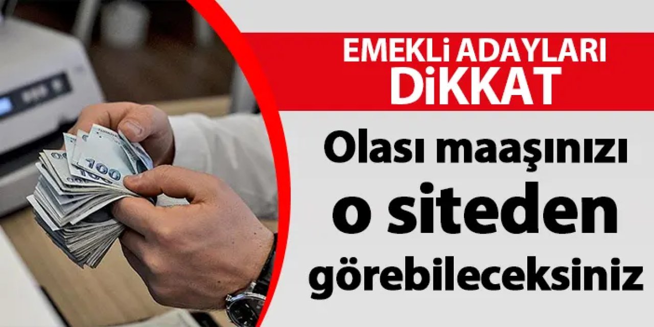 Emekli adayları dikkat! Olası maaşınızı o siteden görebileceksiniz