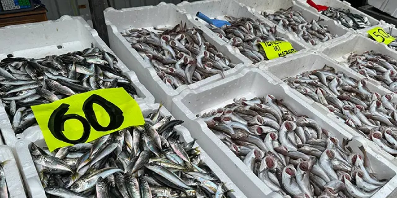 Trabzon'dan kayıklar gitti! Tezgahlarda istavrit bolluğu yaşandı