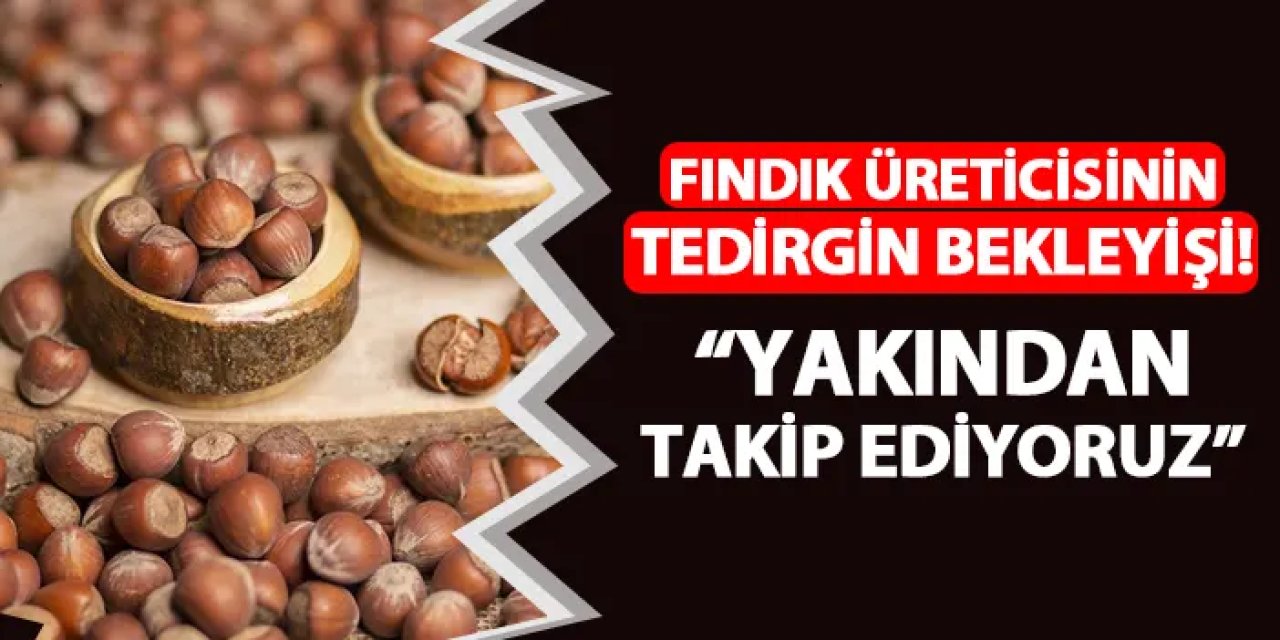 Fındık üreticisinin tedirgin bekleyişi! "Yakından takip ediyoruz"