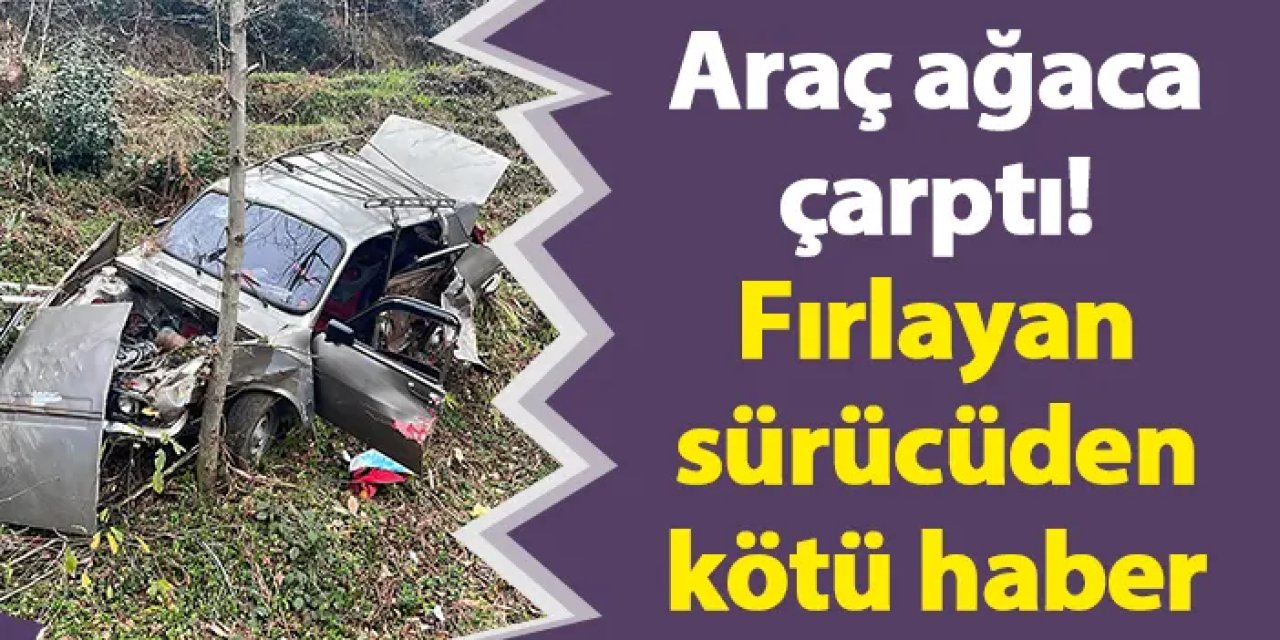 Araç ağaca çarptı! Fırlayan sürücüden kötü haber