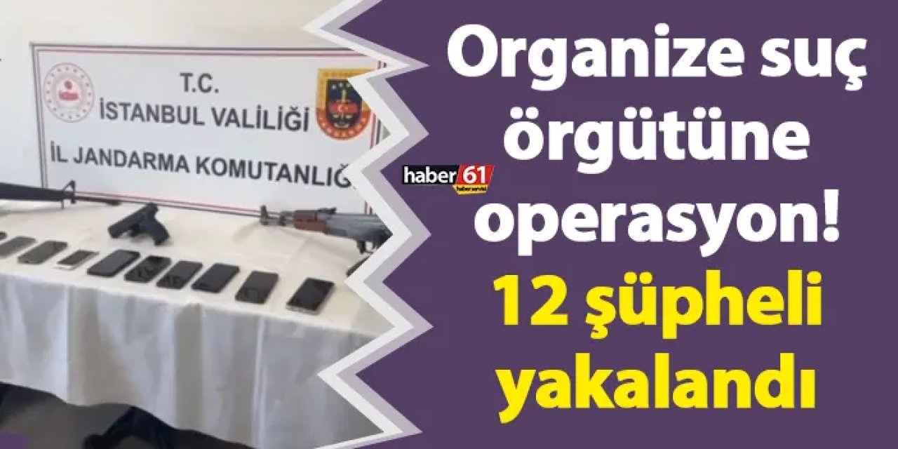 Organize suç örgütüne operasyon! 12 örgüt üyesi şüpheli yakalandı