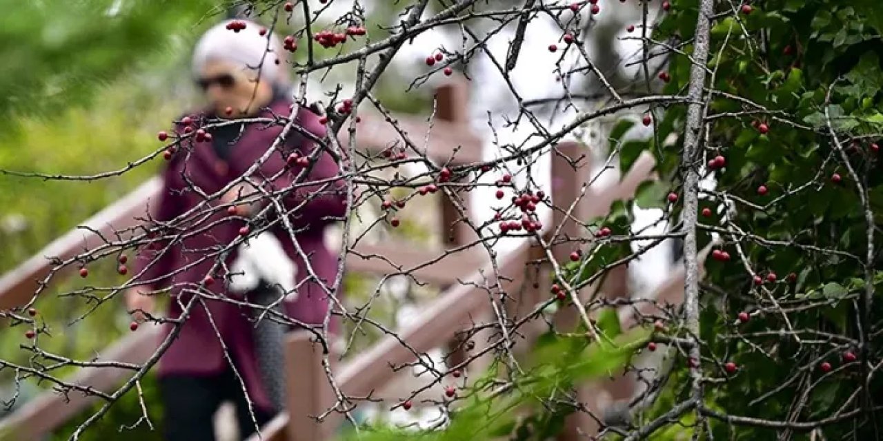 Türkiye'de son 53 yılın en sıcak ocak ayı