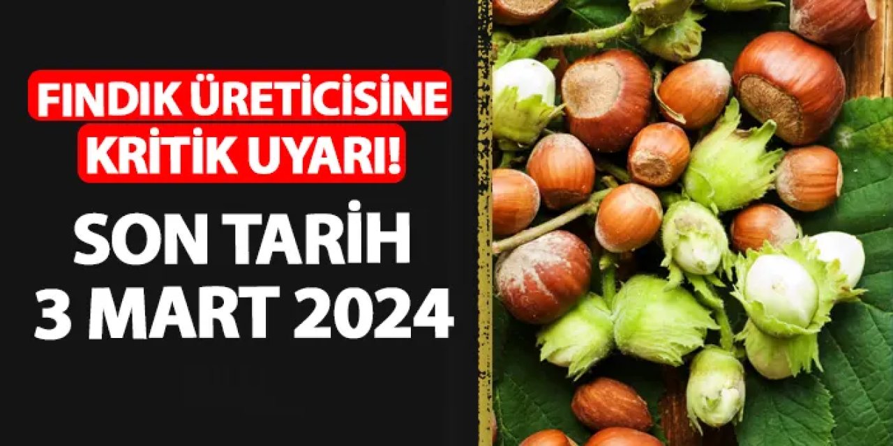 Fındık üreticilerine kritik uyarı! Son tarih 3 Mart 2024