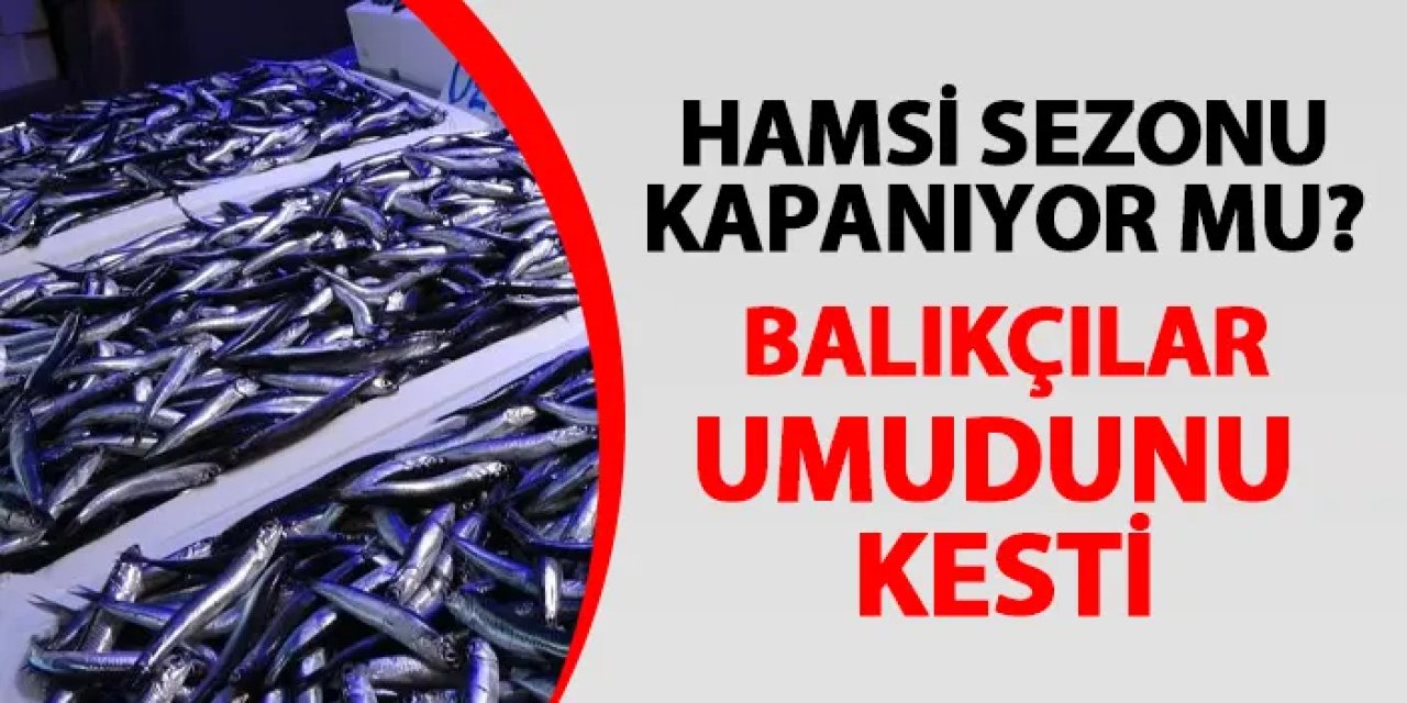 Hamsi sezonu kapanıyor mu? Balıkçılar umudunu kesti