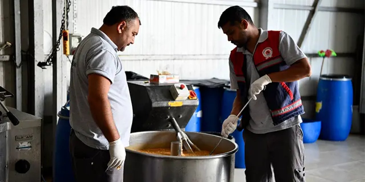 Samsun'da can dostları için mama üretildi