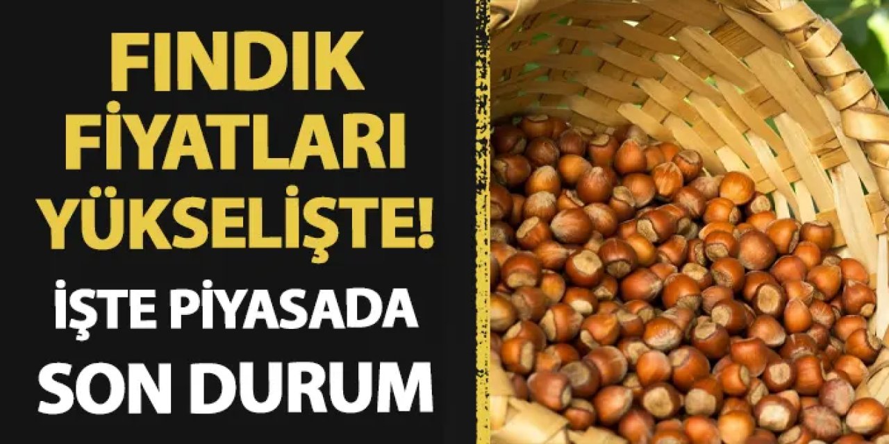 Fındık fiyatı yükselişe geçti! İşte piyasada son durum