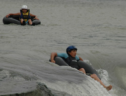 Rize'de Şamrel yarışı