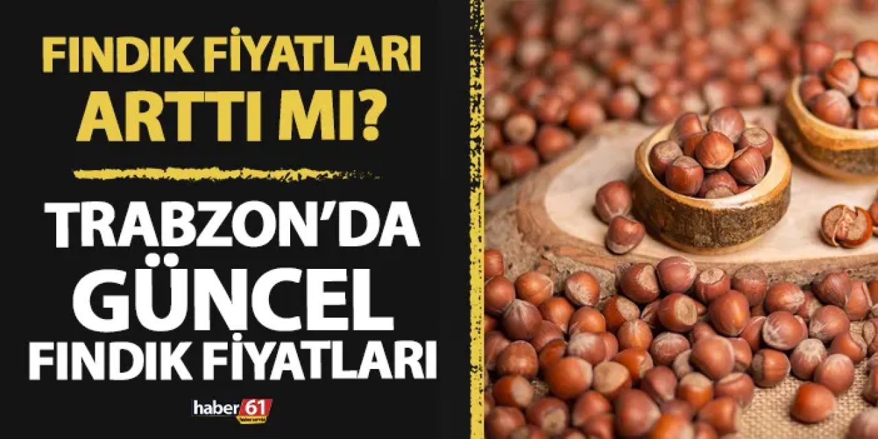Trabzon'da fındık fiyatları kaç lira? Güncel fındık fiyatları