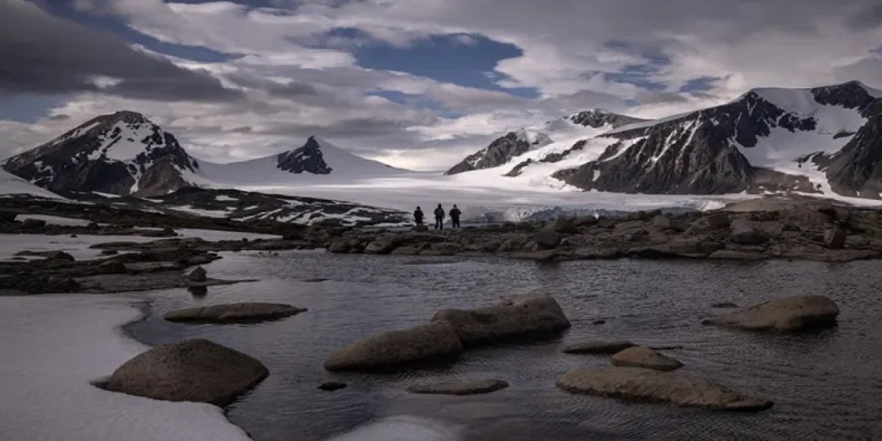 Antarktika'dan getirildiler! Kimya sektöründe ticarileştirilecek