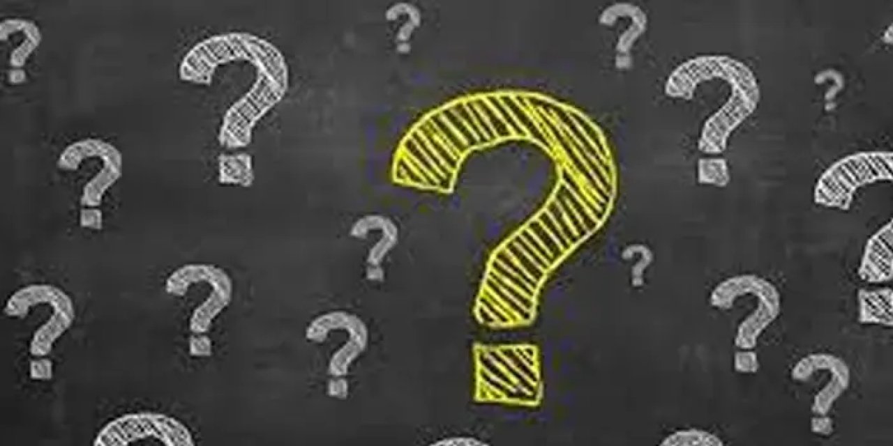 Merdümgiriz ne demek? Merdümgiriz ne anlama gelir?