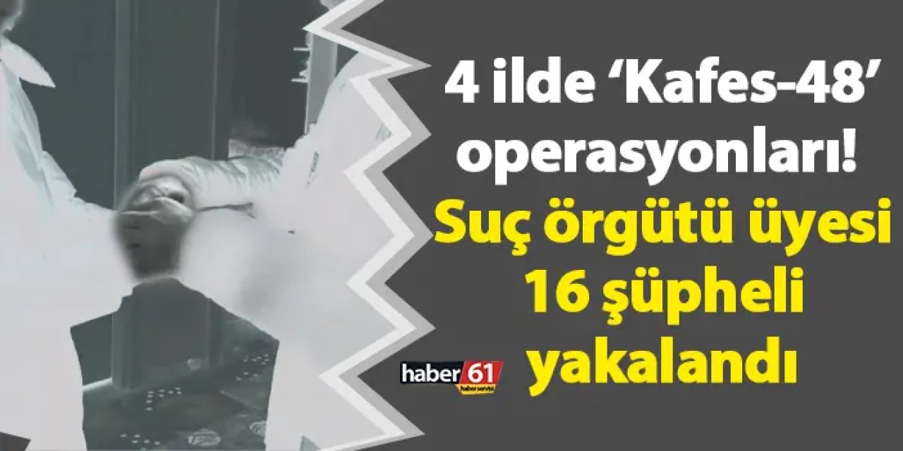 4 ilde ‘Kafes-48’ operasyonları! Suç örgütü üyesi 16 şüpheli yakalandı