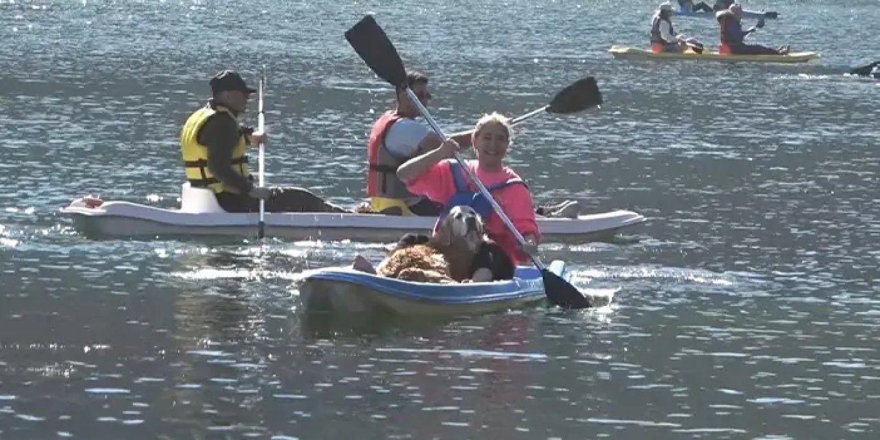 Samsun'da küresel ısınmaya karşı kürek çektiler!