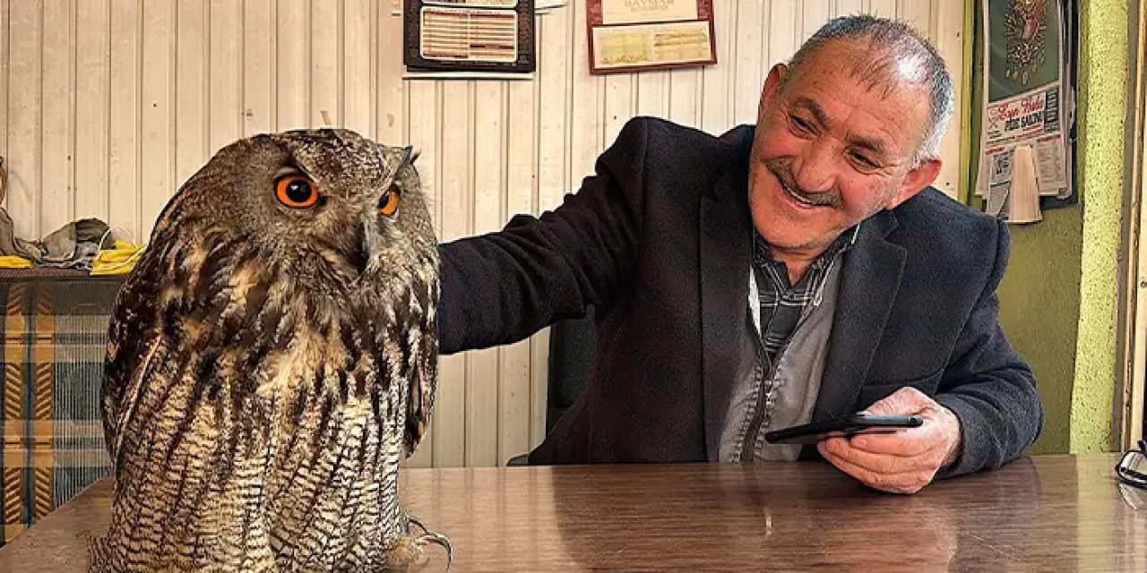 Bölgemizde yaralı halde bulunan puhu özgürlüğüne kavuşacak