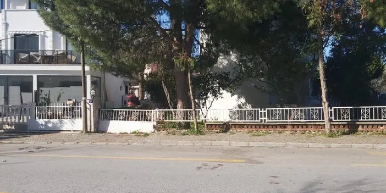 Aydın Didim'de cinayet! Tüfekle öldürdü