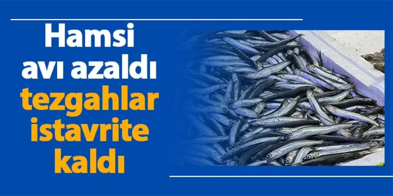 Hamsi avı azaldı tezgahlar istavrite kaldı