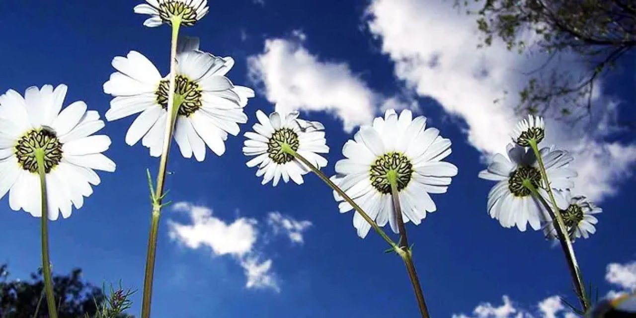 Cemre Düşmesi nedir? Üçüncü Cemre ne zaman düşecek? 2024 Cemre düşme tarihleri