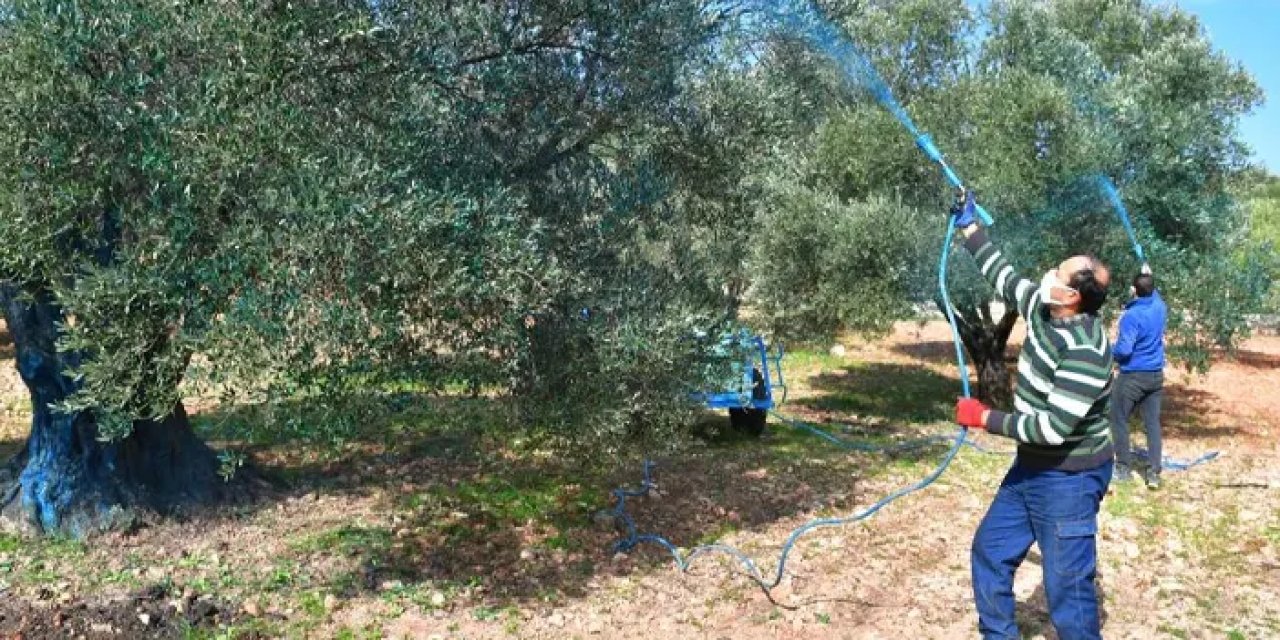 Bordo bulamacı ne zaman yapılır ve uygulanır? Ölçüsü ne kadardır?