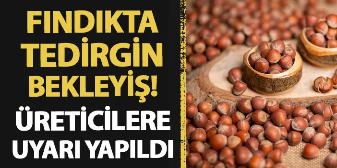Fındıkta tedirgin bekleyiş! Üreticilere uyarı yapıldı