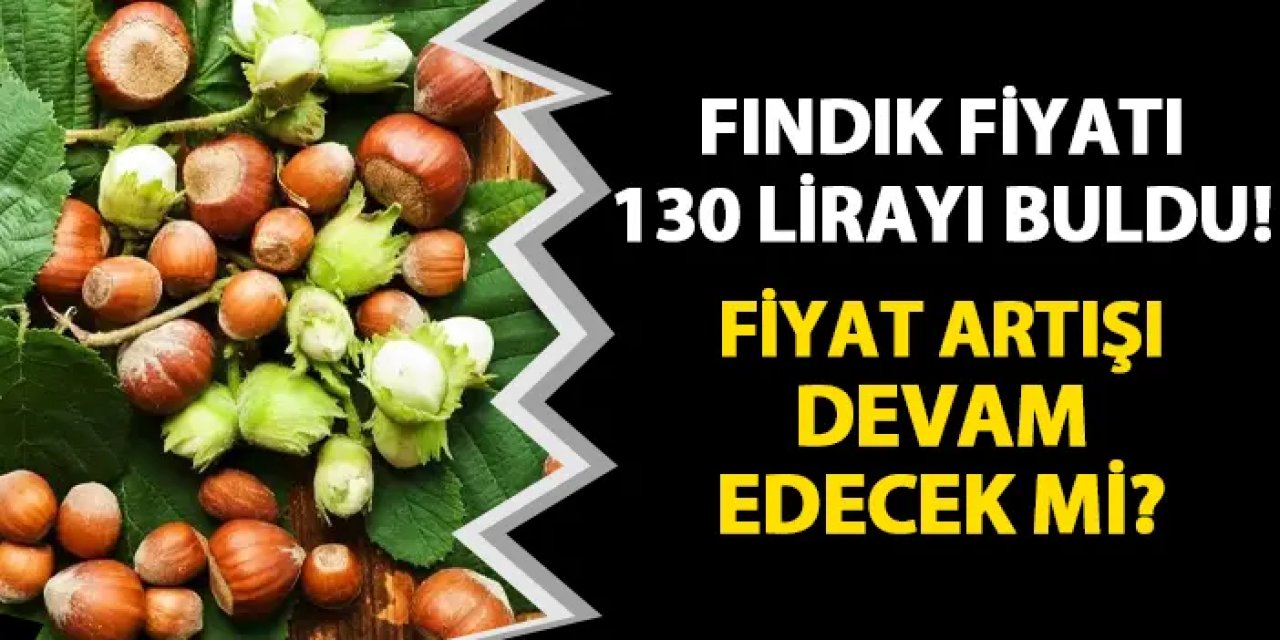 Fındık fiyatı haftayı 130 lira ile kapattı! Artış devam edecek mi?