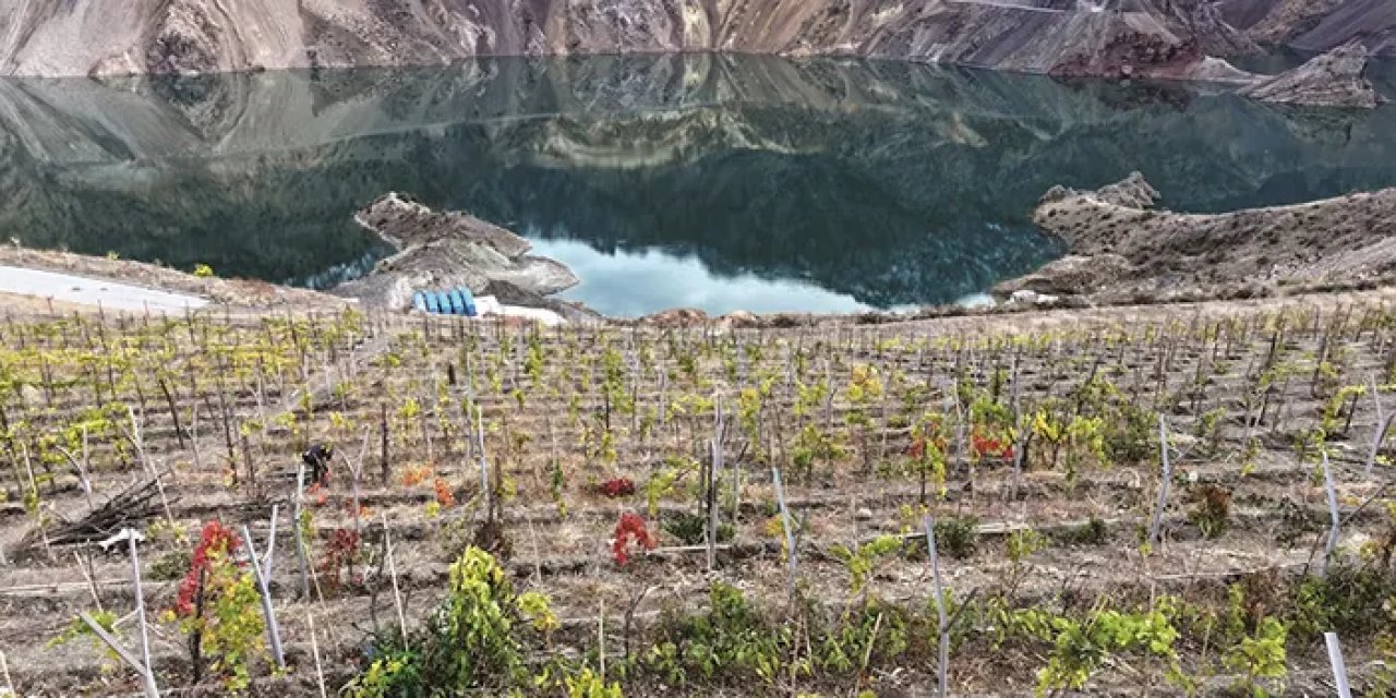 Artvin Yusufeli'nde her şey yeniden başlıyor