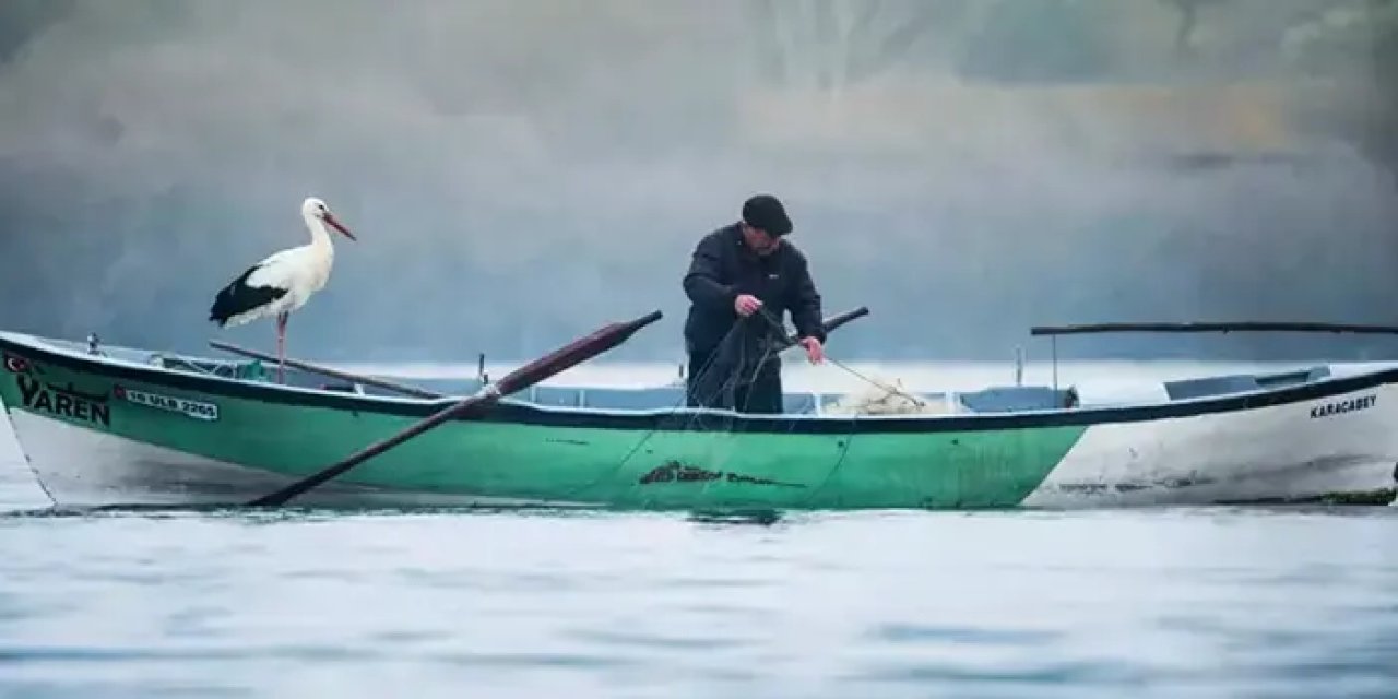 Bursa'da Eskikarağaç'ta Sıradışı Dostluk: Yaren Leylek 13. Kez Geri Döndü
