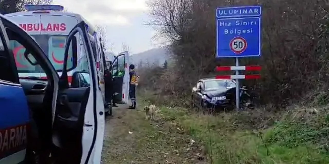 Bartın'da otomobil hız tabelasına çarparak durabildi