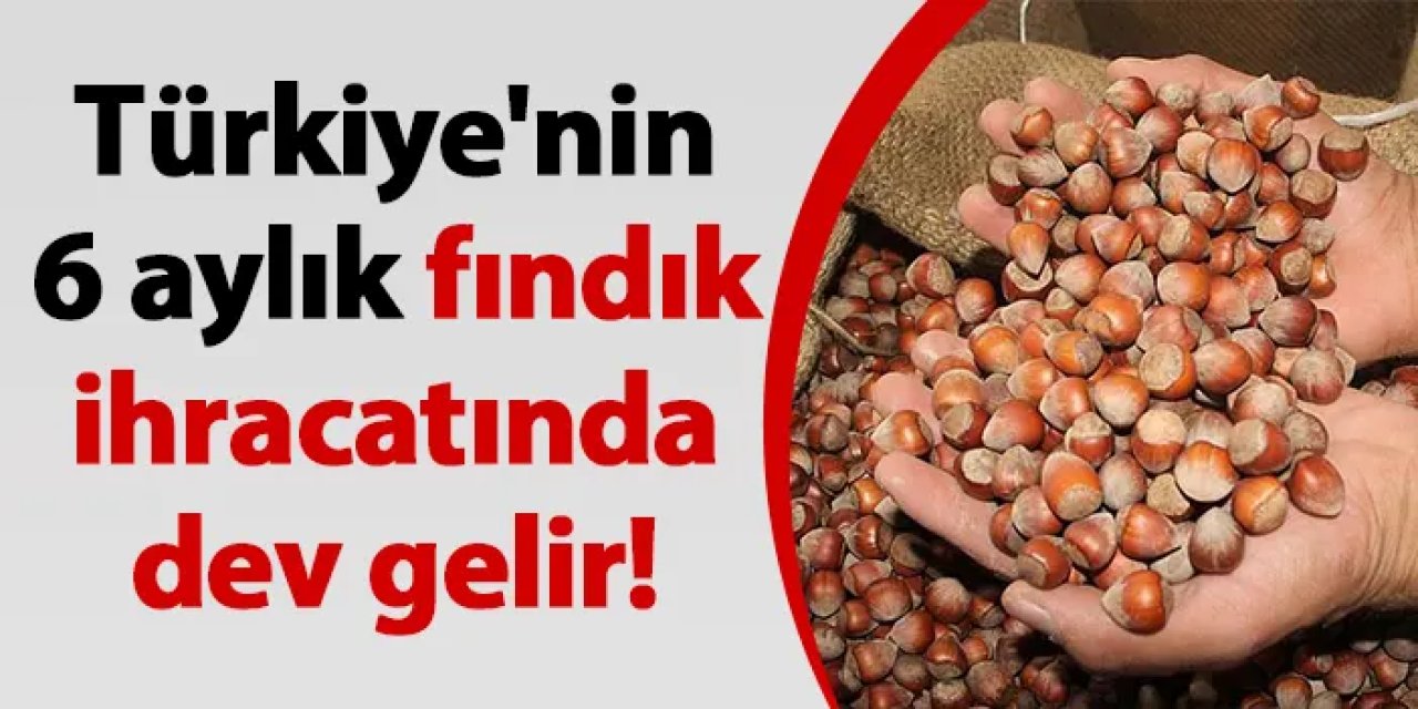 Türkiye'nin 6 aylık fındık ihracatında dev gelir!