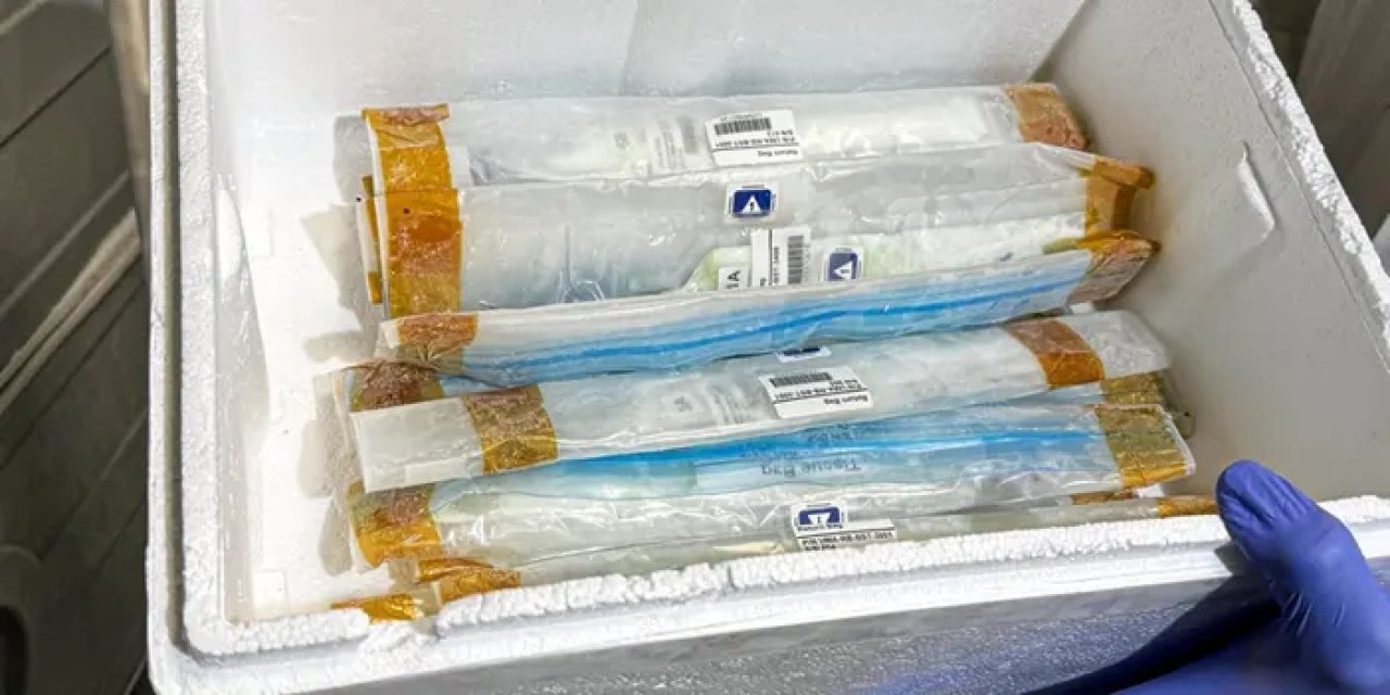 Alper Gezeravcı'nın Uzay Misyonundaki Mikroalg Deneyi İlk Meyvelerini Verdi