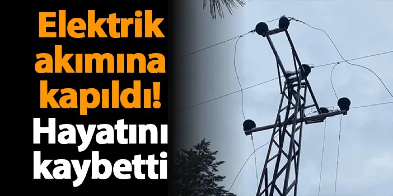 Elektrik akımına kapıldı! Hayatını kaybetti