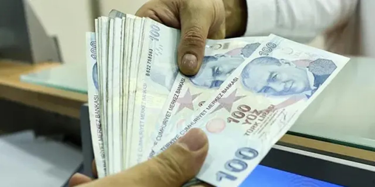 Çoğu kişinin haberi bile yok! E-Devlet'te birikmiş paranız olabilir!