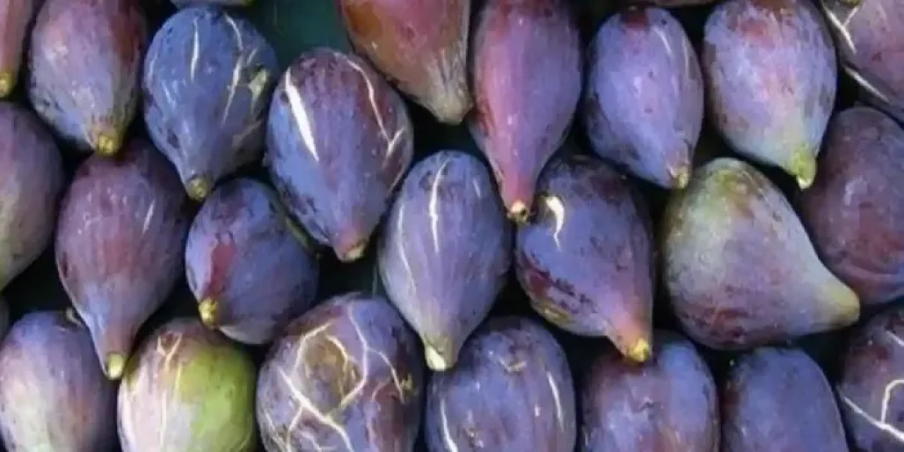 Trabzon'da ne yetişir? Trabzon'da en çok ne yetiştiriliyor?