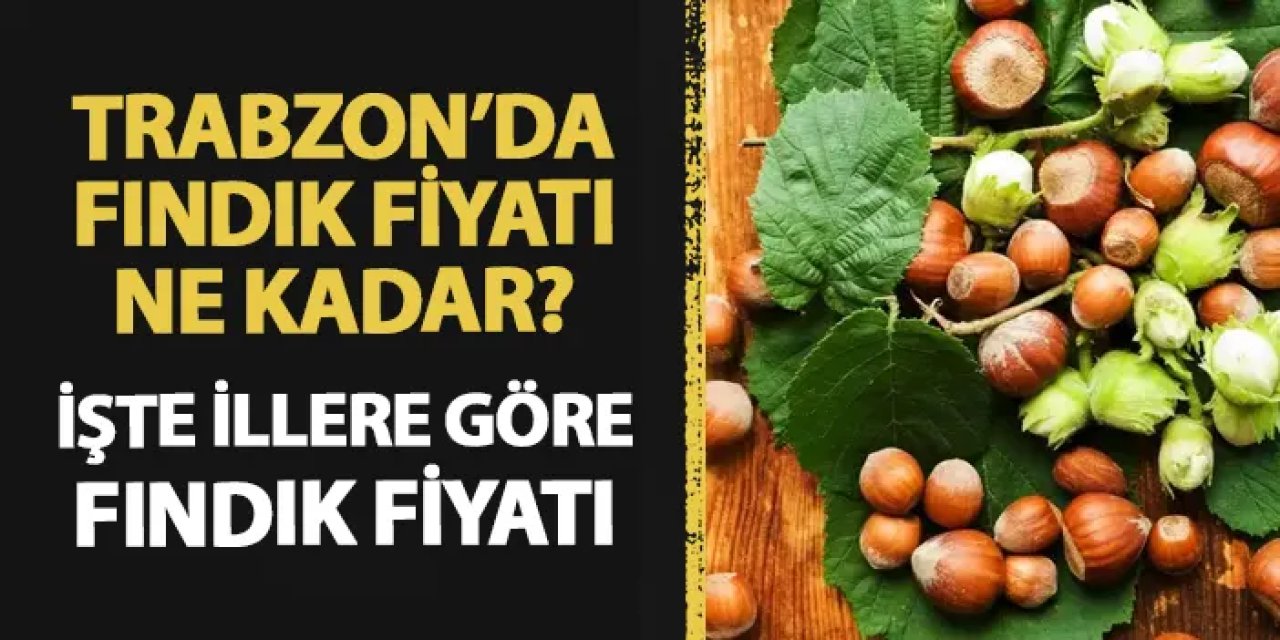 Fındık fiyatı ne kadar? İşte Trabzon ve Karadeniz illerinde fındık fiyatları