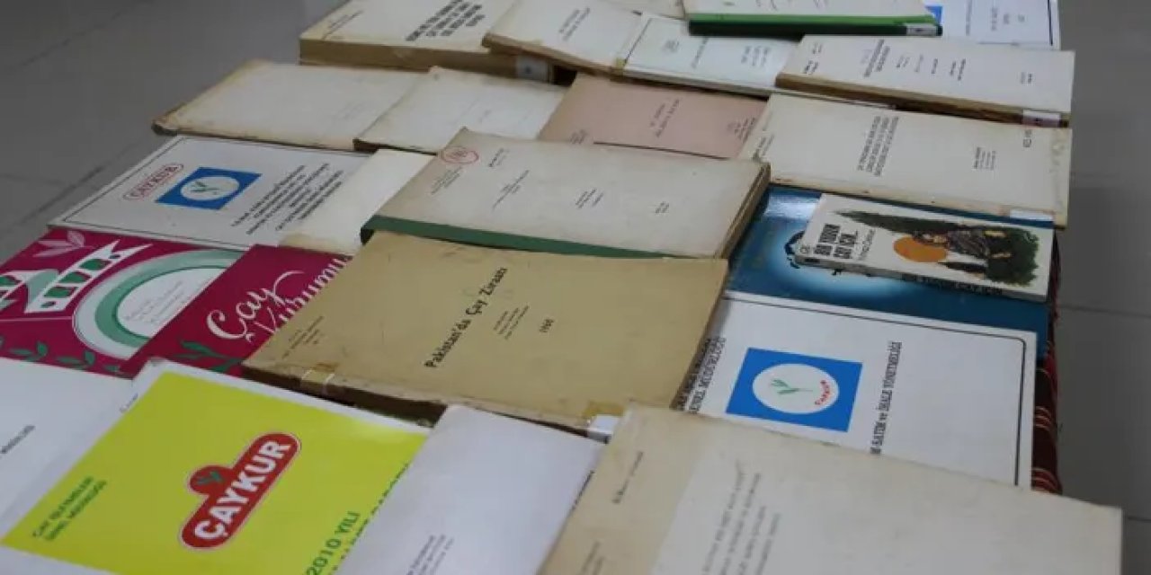 Çayın Rize'ye gelişinin 100. yılında çayın önemi anlatıldı