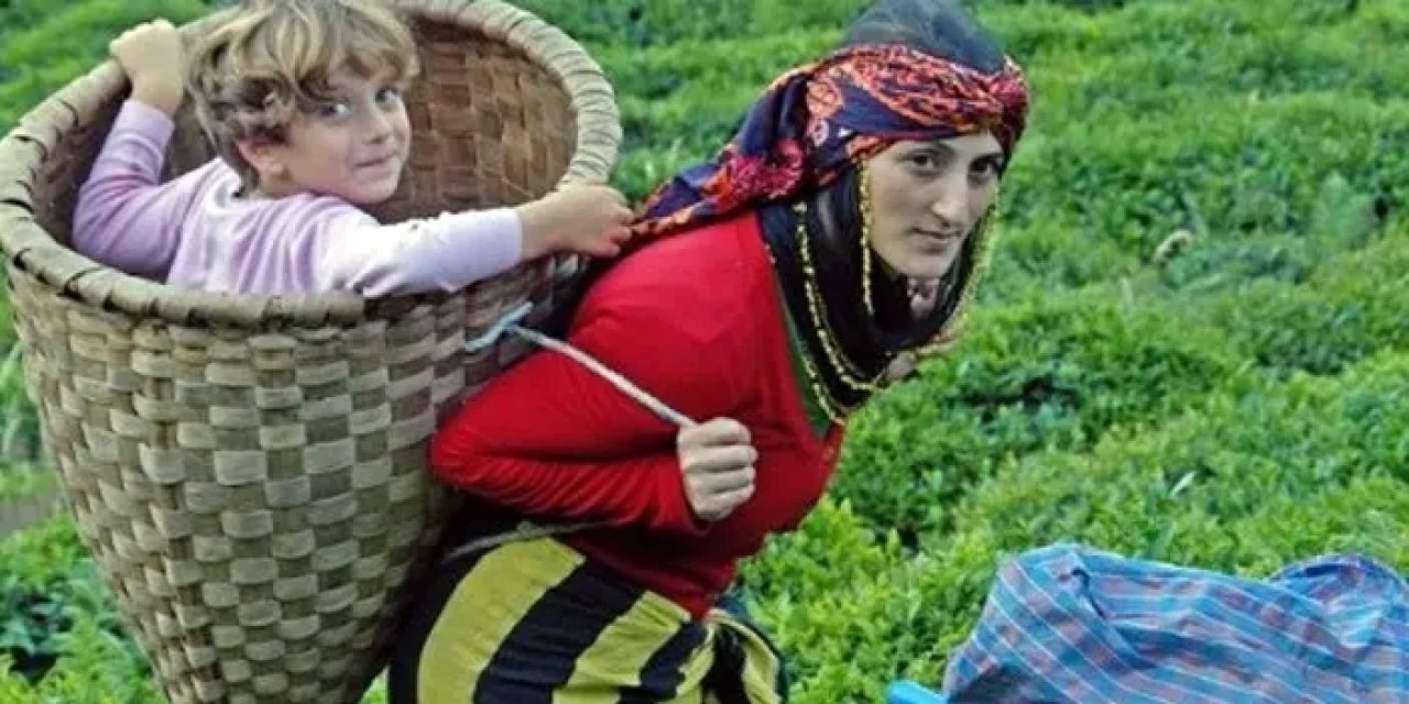 Asıl Lazlar nerelidir? Kökleri ve Kültürel Miras