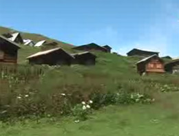 Rizeliler yaylaya onu sokmadı