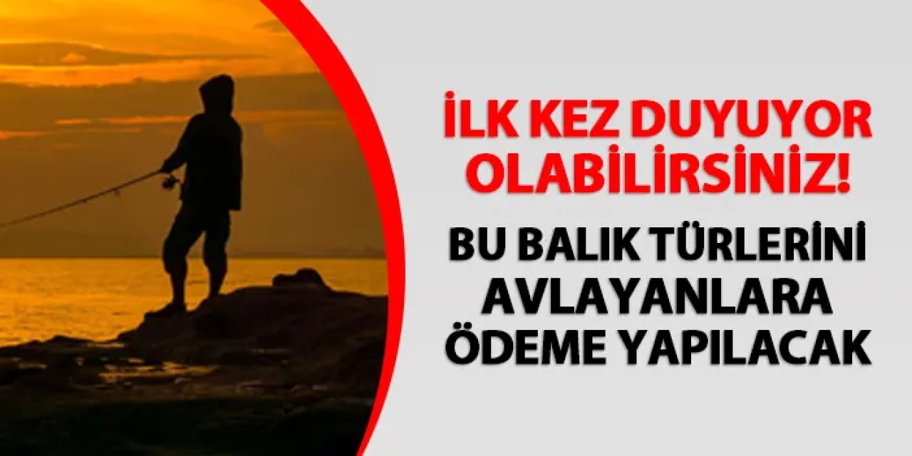 İlk kez duyuyor olabilirsiniz! Bu balık türlerini avlayanlara destek ödemesi yapılacak