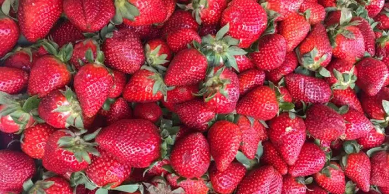 Trabzon meyve Sebze fiyatları 16 Nisan 2024