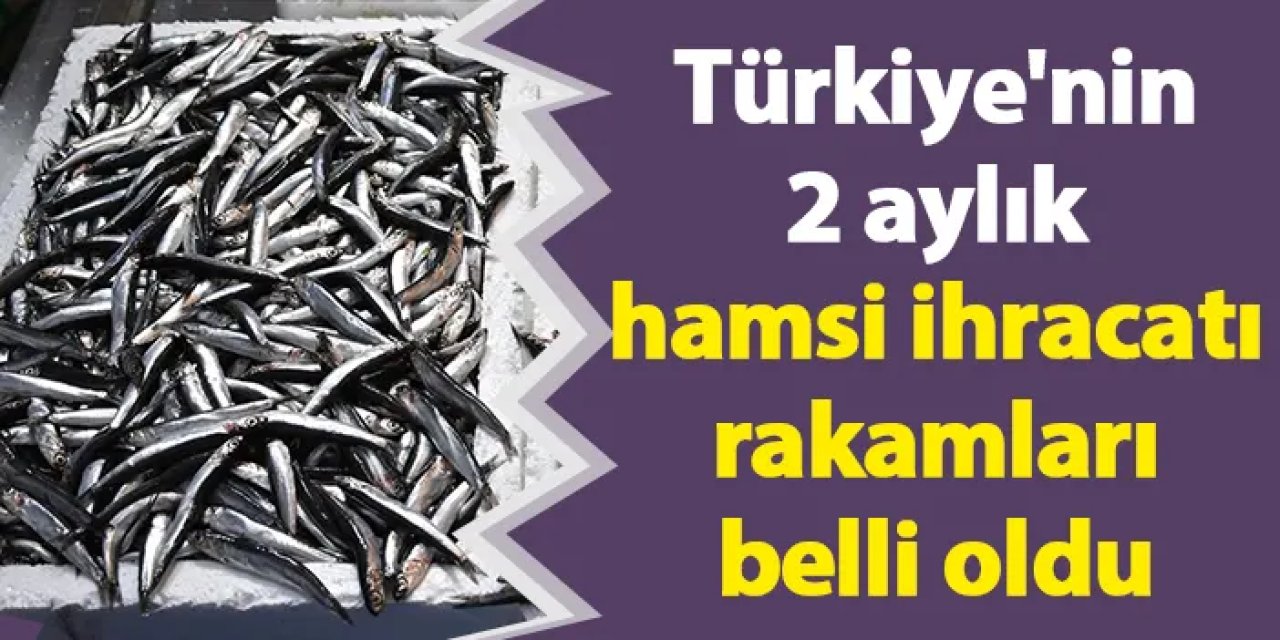 Türkiye'nin 2 aylık hamsi ihracatı rakamları belli oldu