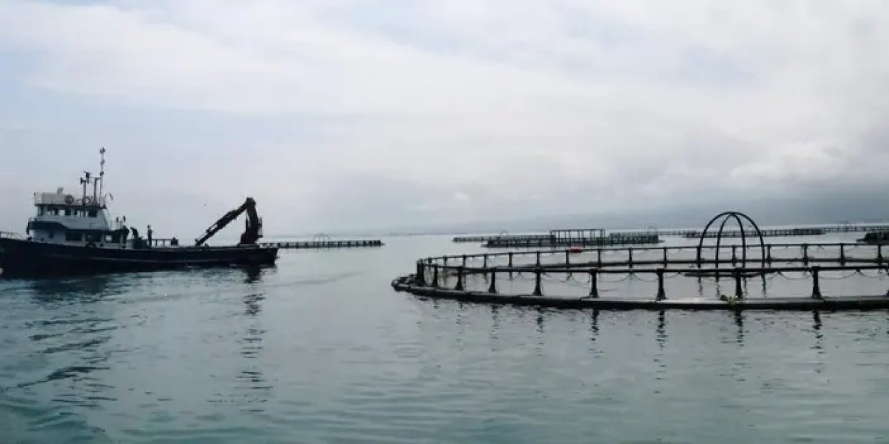 Samsun’da su ürünleri üretiminde büyük artış