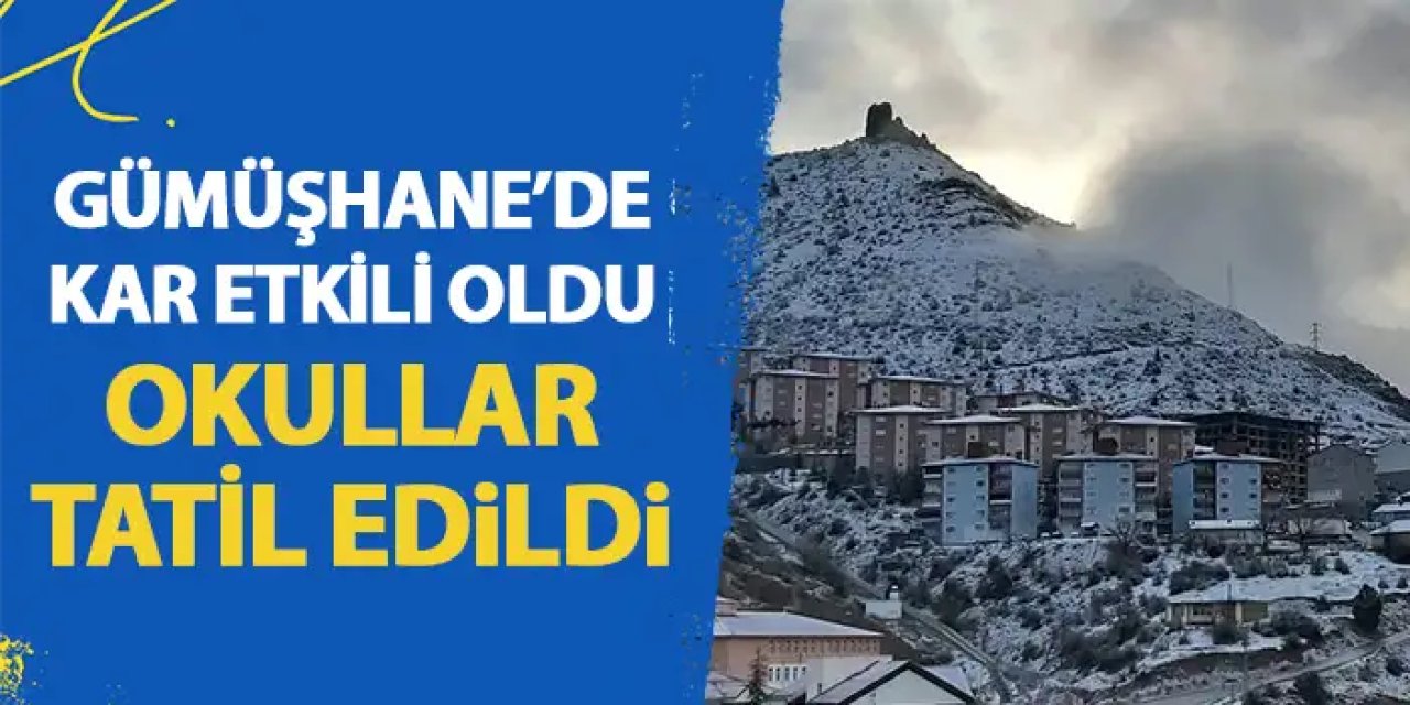 Gümüşhane'de kar yağışı etkili oldu! O ilçede okullar tatil edildi