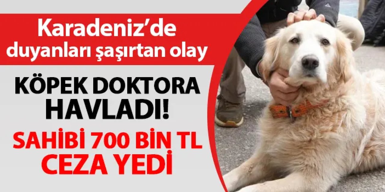 Karadeniz'de ilginç olay! Köpek doktora havladı, sahibi 700 bin TL ceza yedi