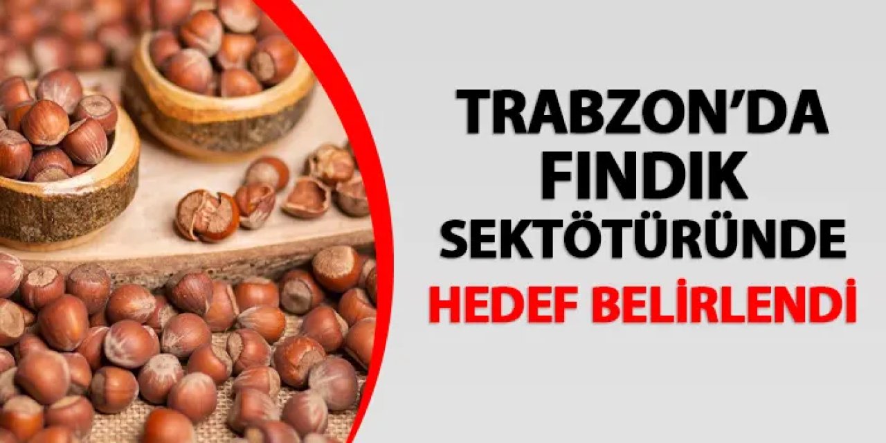 Trabzon'da fındık sektöründe hedef belirlendi!