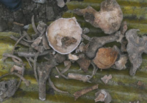 Malkara'da toplu mezar bulundu