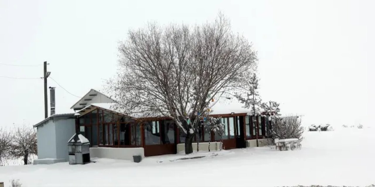 Bayburt kar yağışı etkisini gösterdi! Bitki örtüsü beyaz örtüyle kaplandı