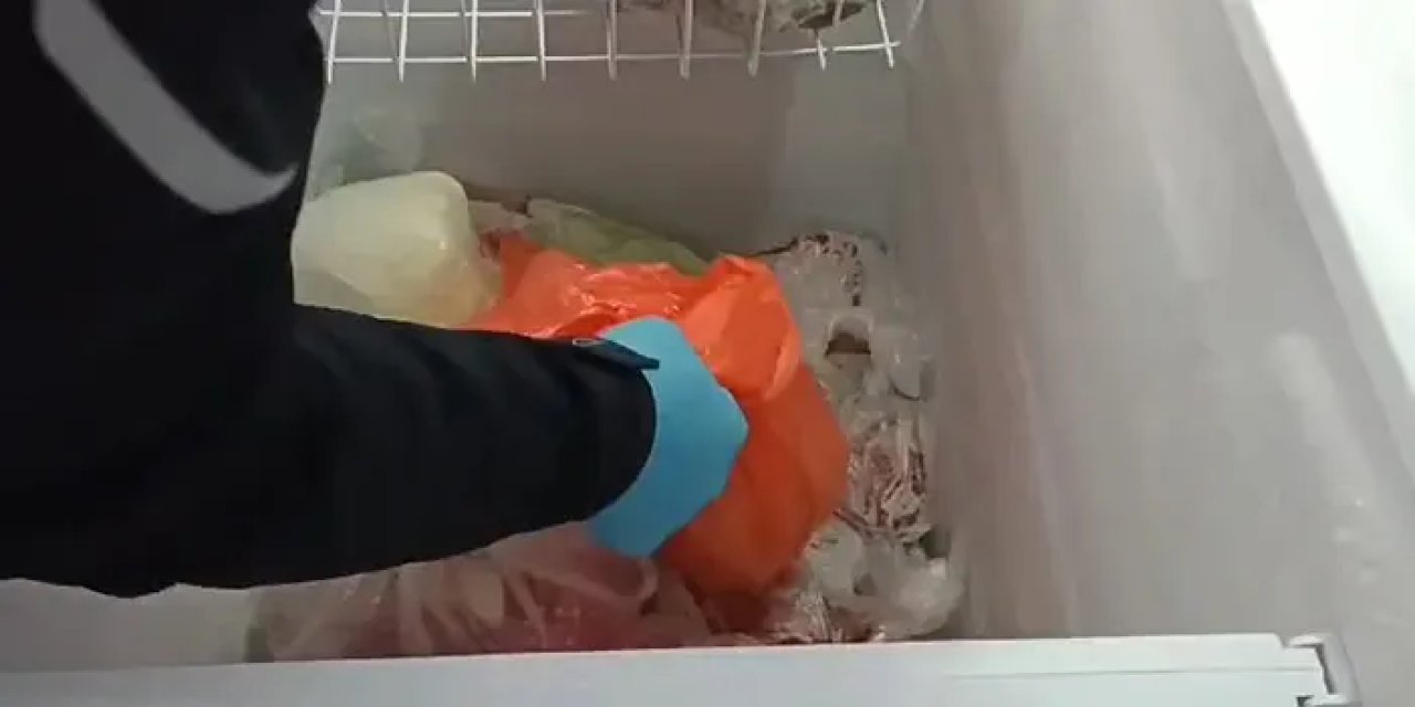 Samsun merkezli operasyon! Dondurucuda silah ele geçirildi