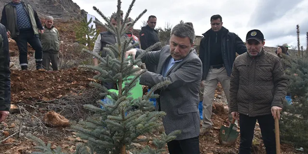Gümüşhane'de 3 bin fidan toprakla buluştu